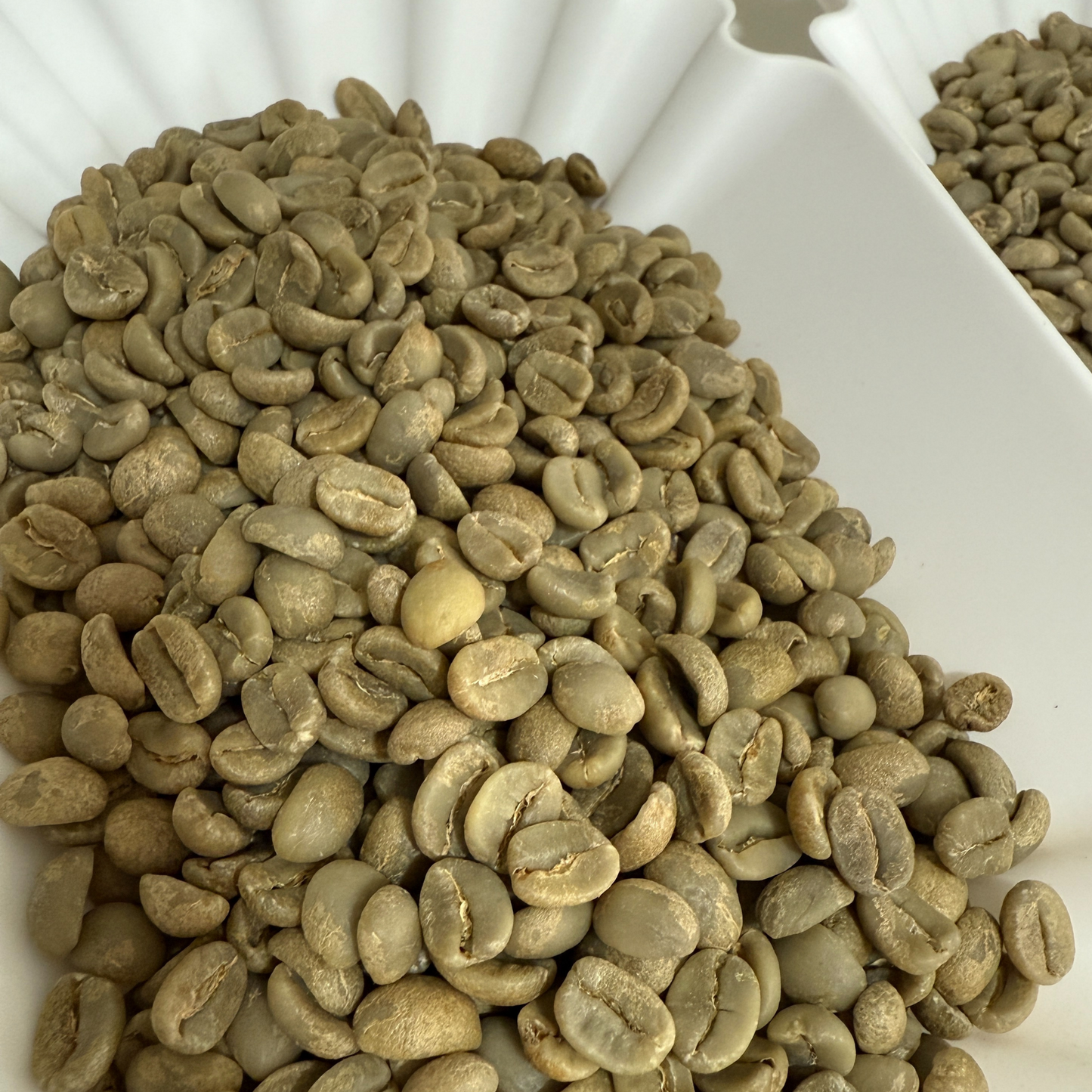 Roast With Me — Private Coffee Roasting Session