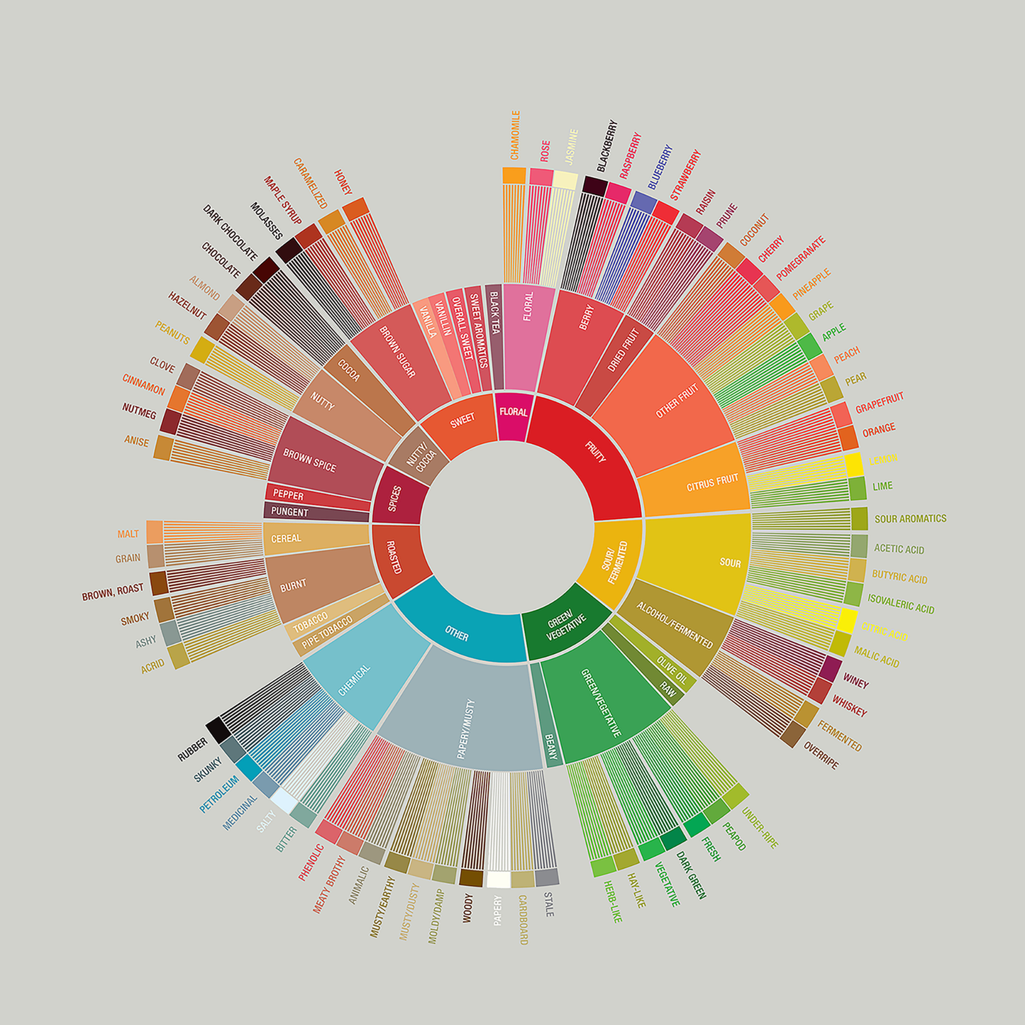 Taste the Sunshine: A Beginner’s Guide to Coffee Appreciation