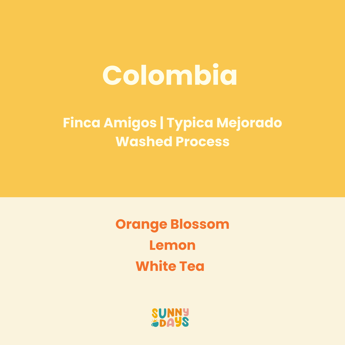 Colombia Finca Amigos Typica Mejorado Washed - 150GM