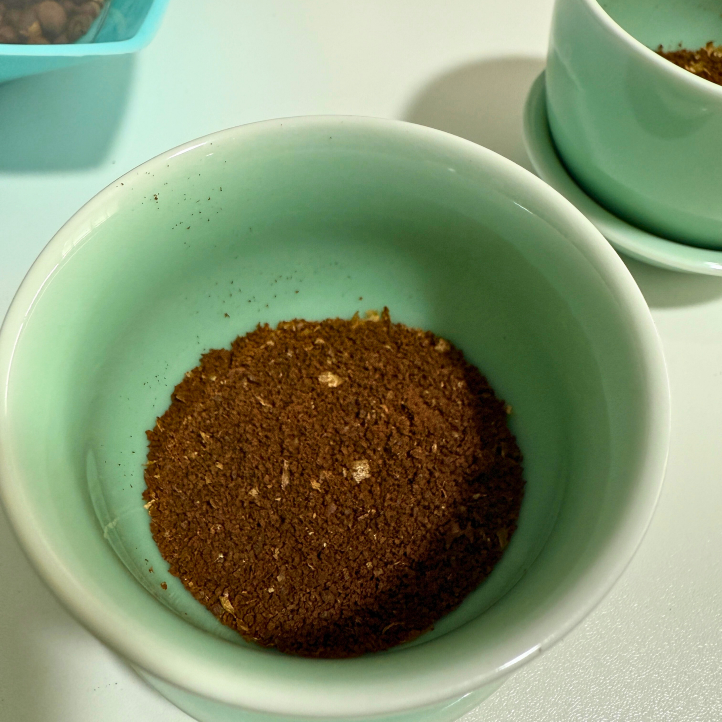 Taste the Sunshine: A Beginner’s Guide to Coffee Appreciation