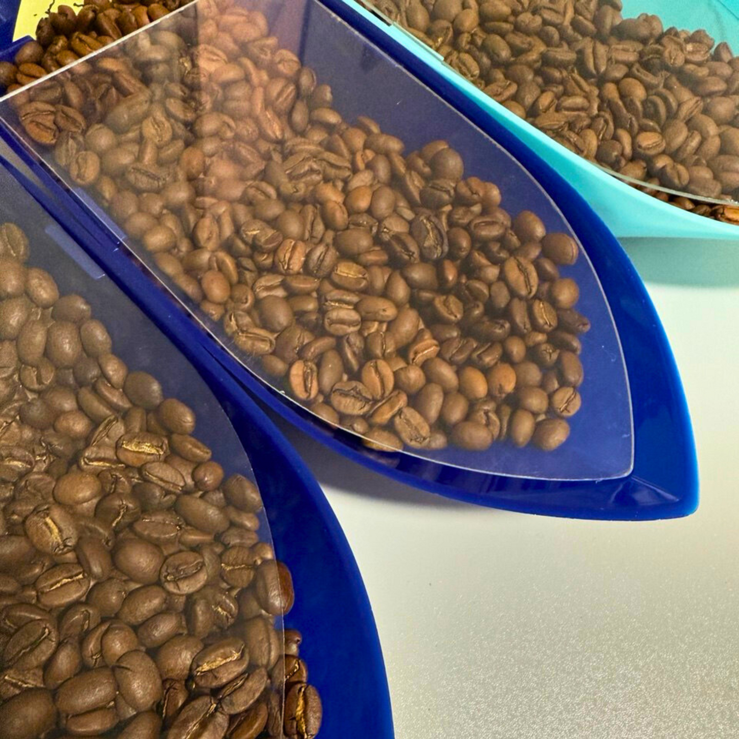 Roast With Me — Private Coffee Roasting Session