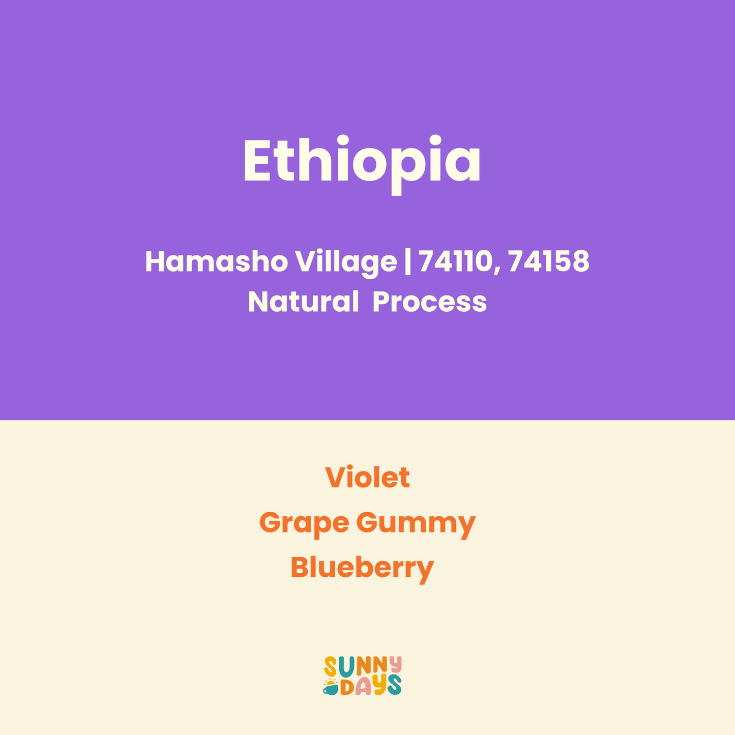 Ethiopia Hamasho Village, Adnan Washing Station - 150GM