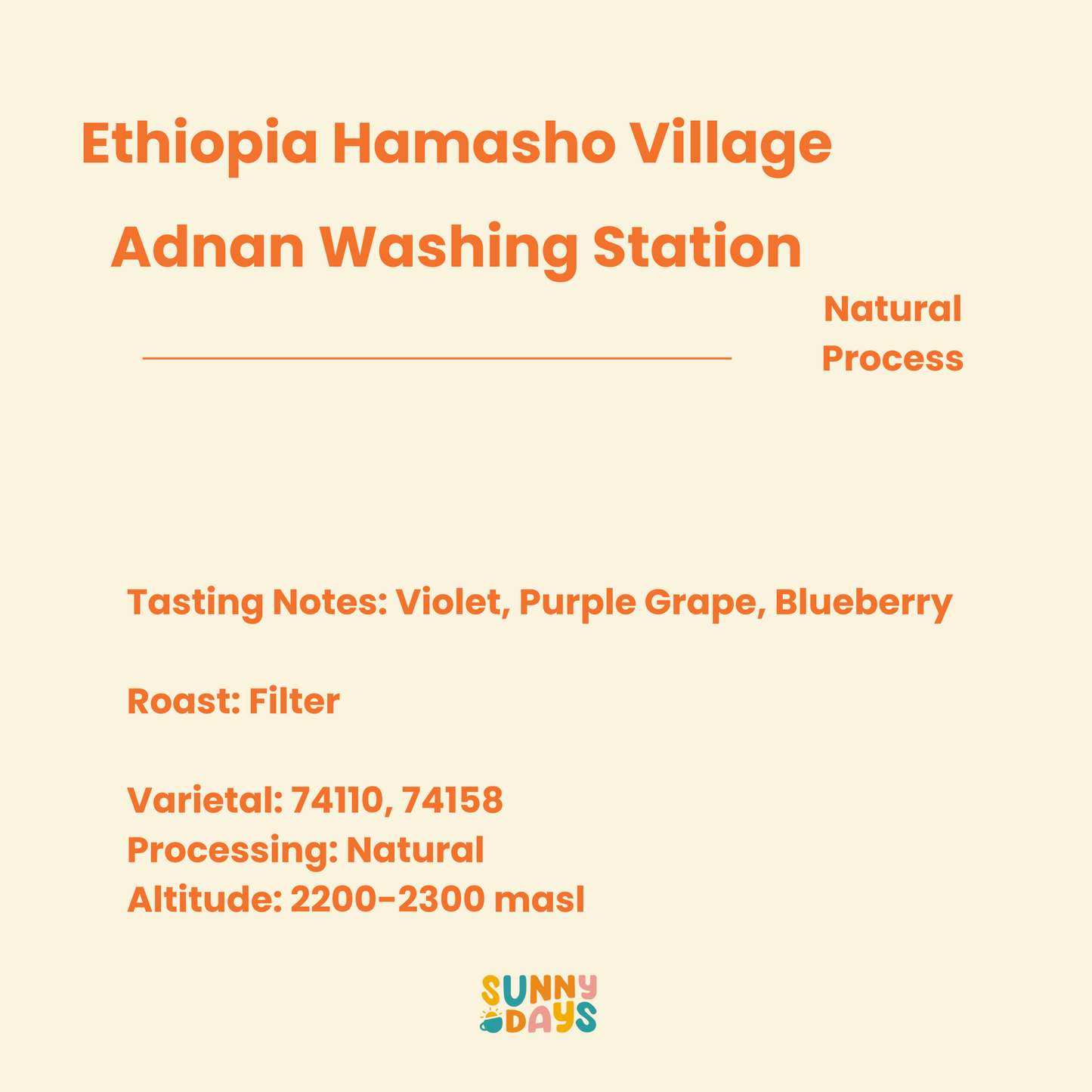 Ethiopia Hamasho Village, Adnan Washing Station - 150GM