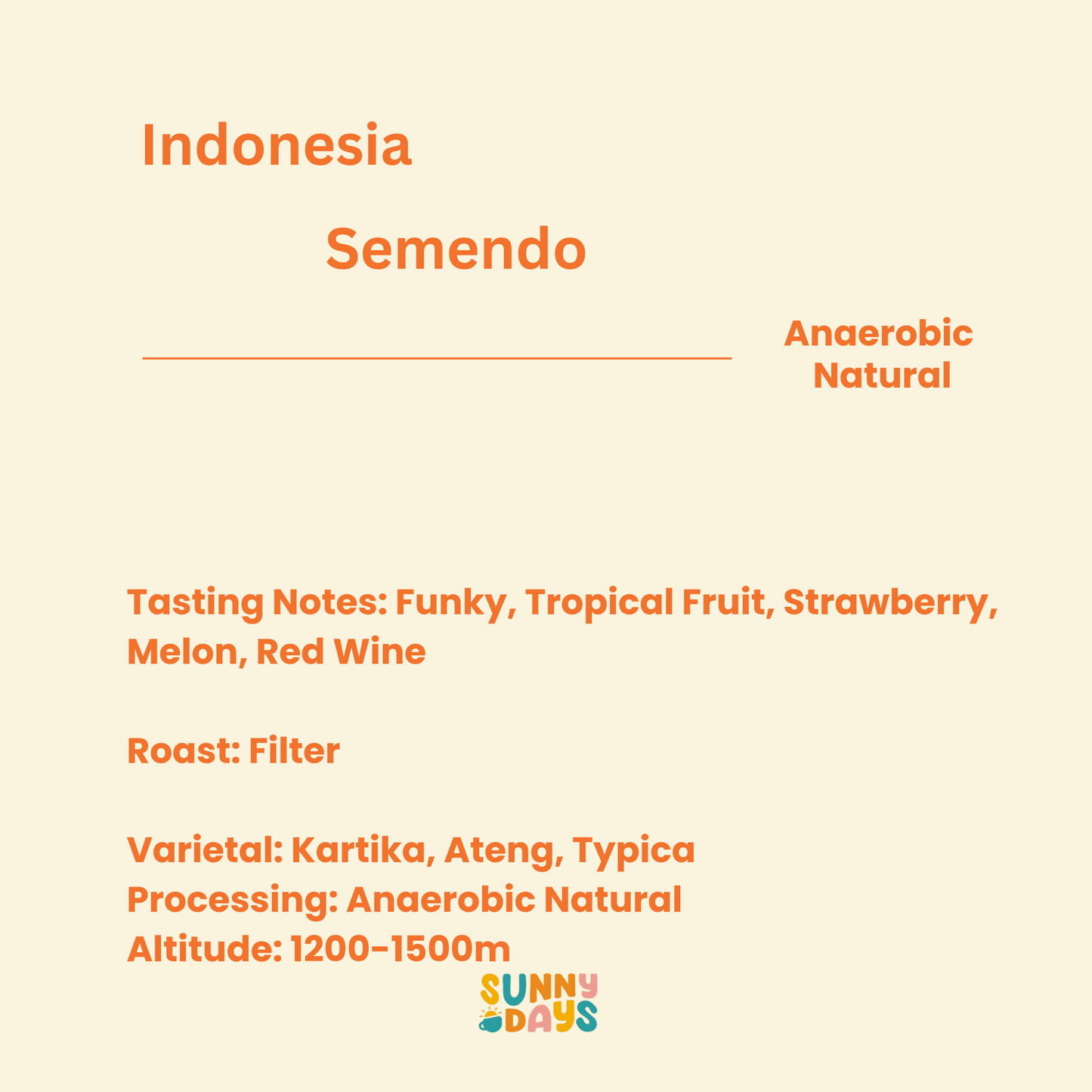 Indonesia - Semendo - Anaerobic Natural