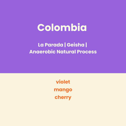 Colombia La Parada #2 Gesha Anaerobic Natural
