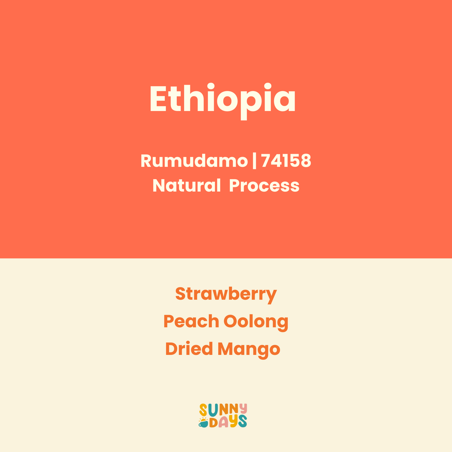 [ROAST ON 25/8] Ethiopia Rumudamo Natural 74158