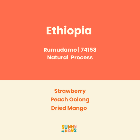 [ROAST ON 25/8] Ethiopia Rumudamo Natural 74158