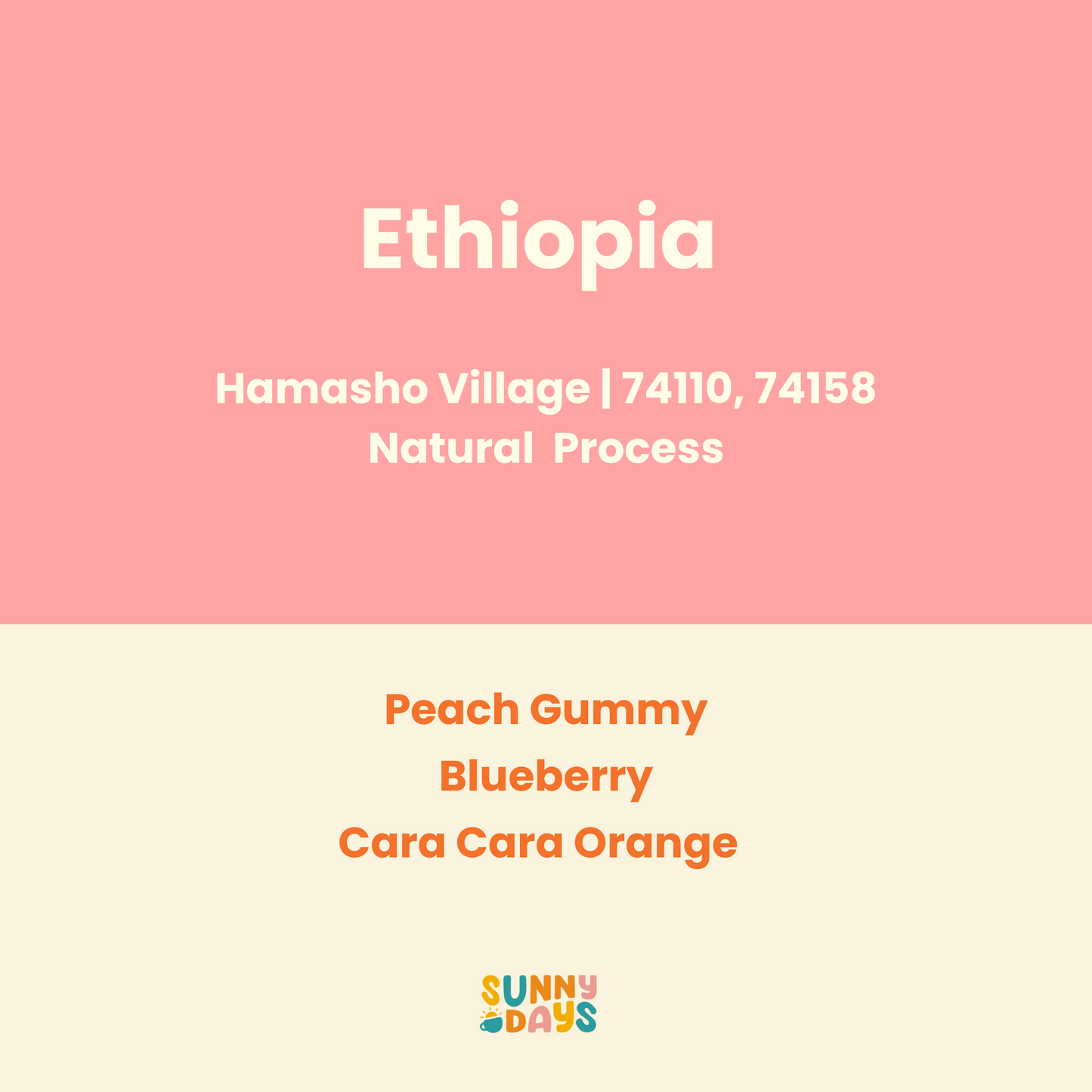 Ethiopia Hamasho Village, Gara Sole Washing Station - 150GM