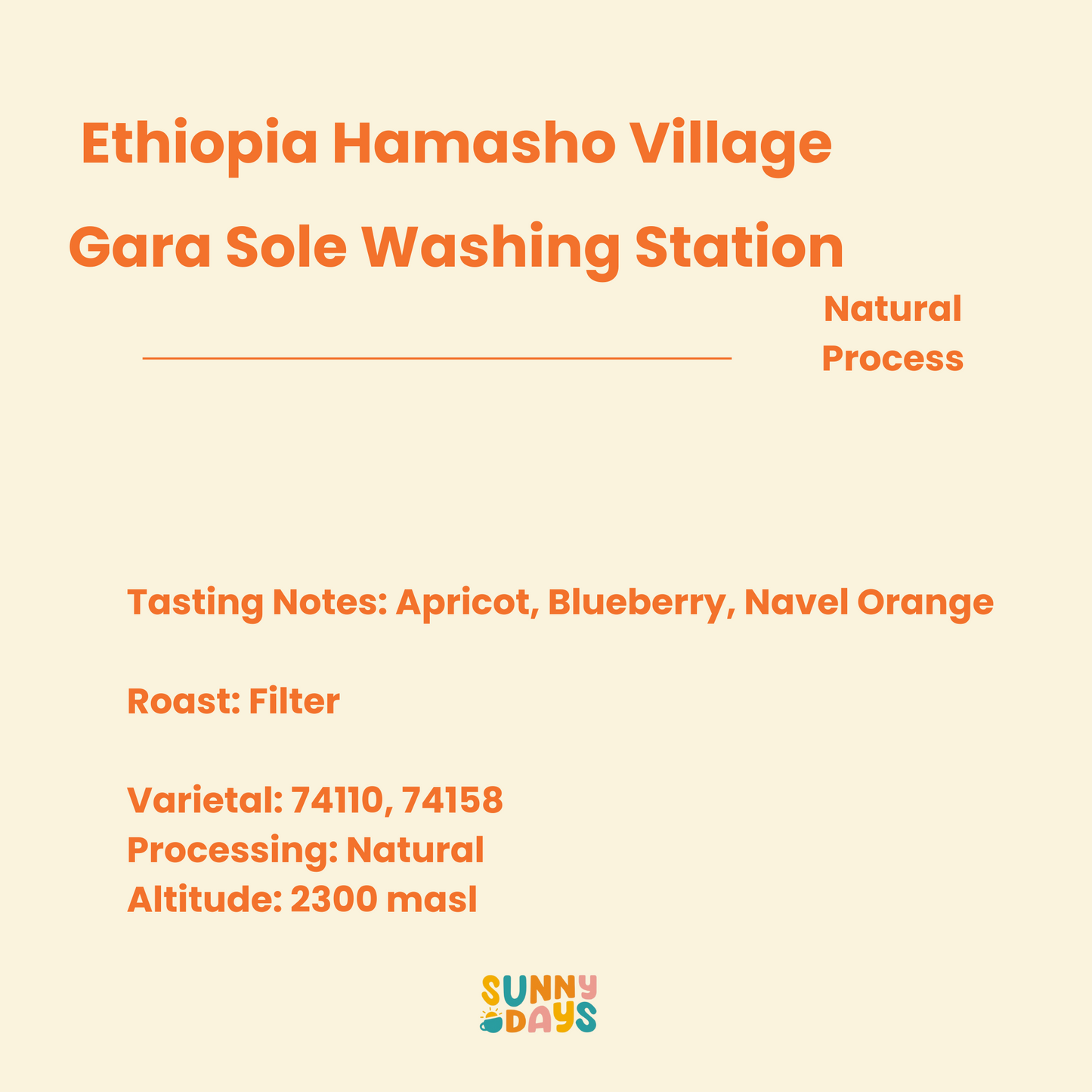 Ethiopia Hamasho Village, Gara Sole Washing Station - 150GM
