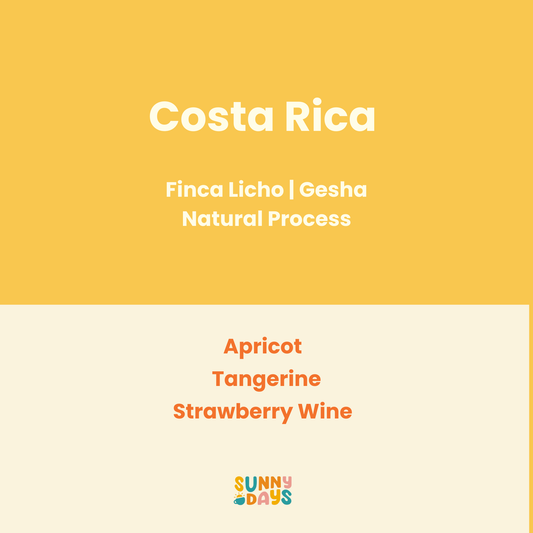 Costa Rica Gesha Finca Licho Natural - 150GM