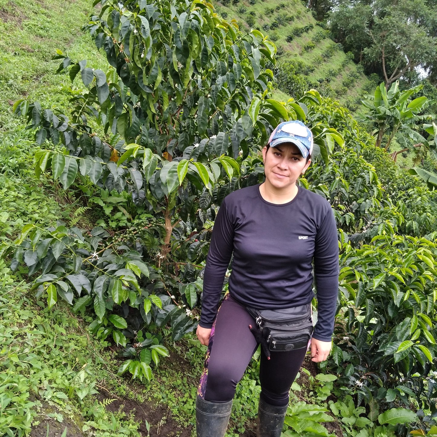 Colombia La Parada #2 Gesha Anaerobic Natural