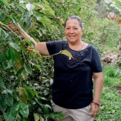 Ecuador - La Marquesa - Yellow Fruits Co-Ferment 150GM